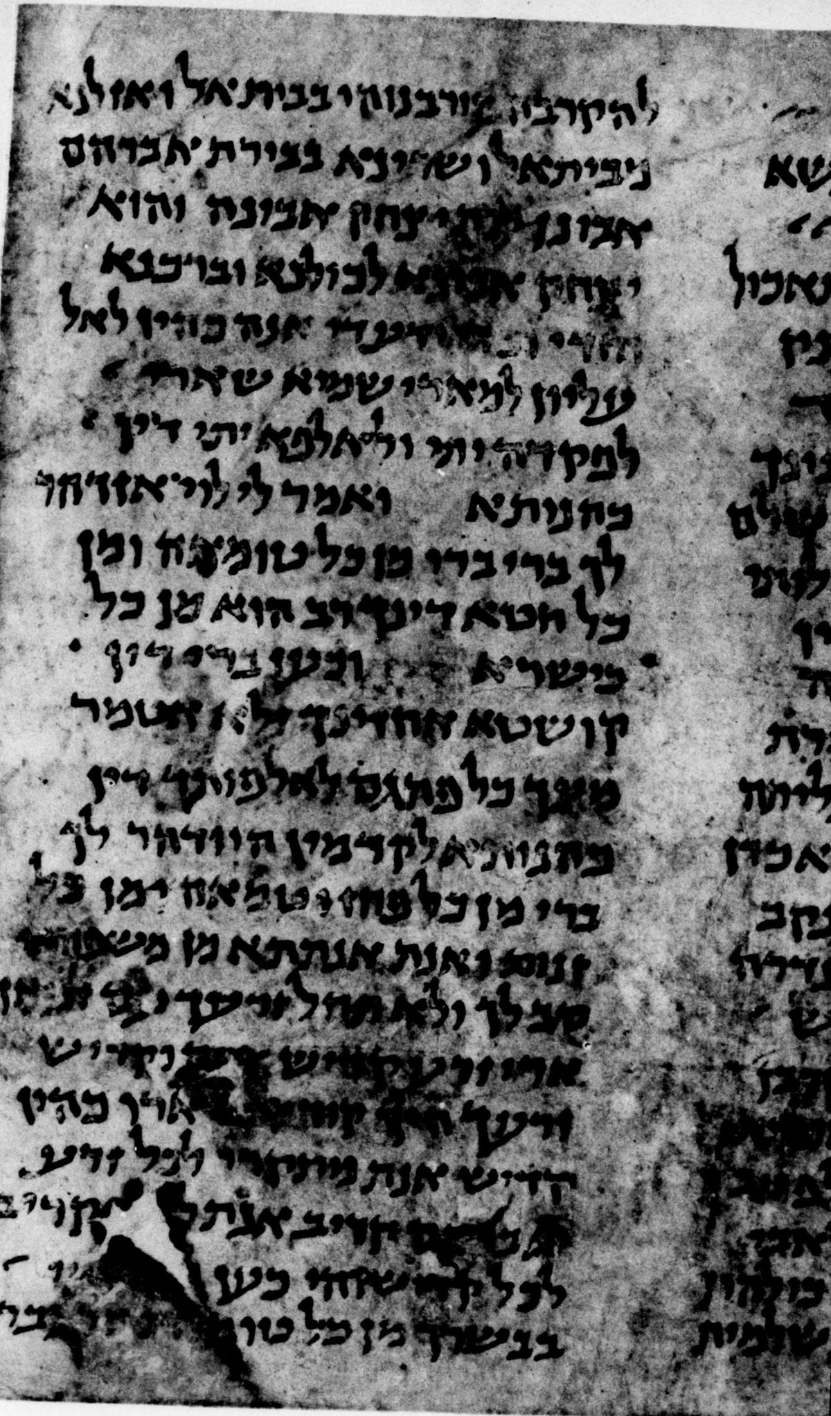 1907 published photograph of a medieval Aramaic Levi manuscript leaf, Bodleian MS Heb. c.27 fol.56